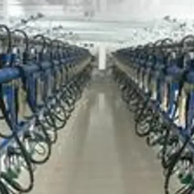 Commercial Automatic Milking Parlor Machine, 500-2000 Lts per hr